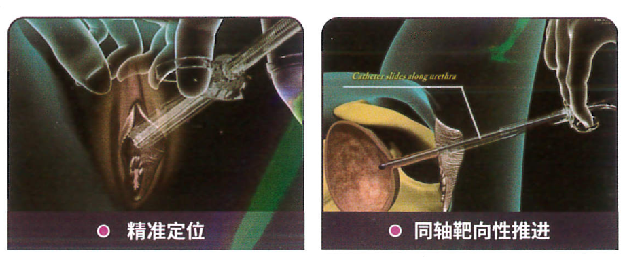 尊时凯龙·(中国区)人生就是搏!