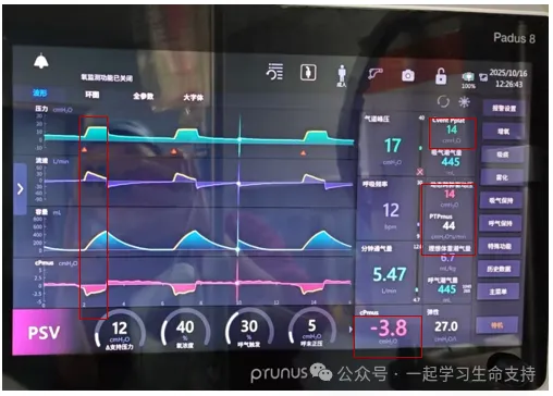 尊时凯龙·(中国区)人生就是搏!